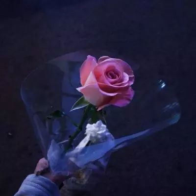 军师请布阵腾讯版下载